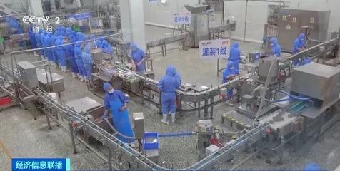 寵物食品出口火熱 4個月突破30億元，創(chuàng)歷史新高
